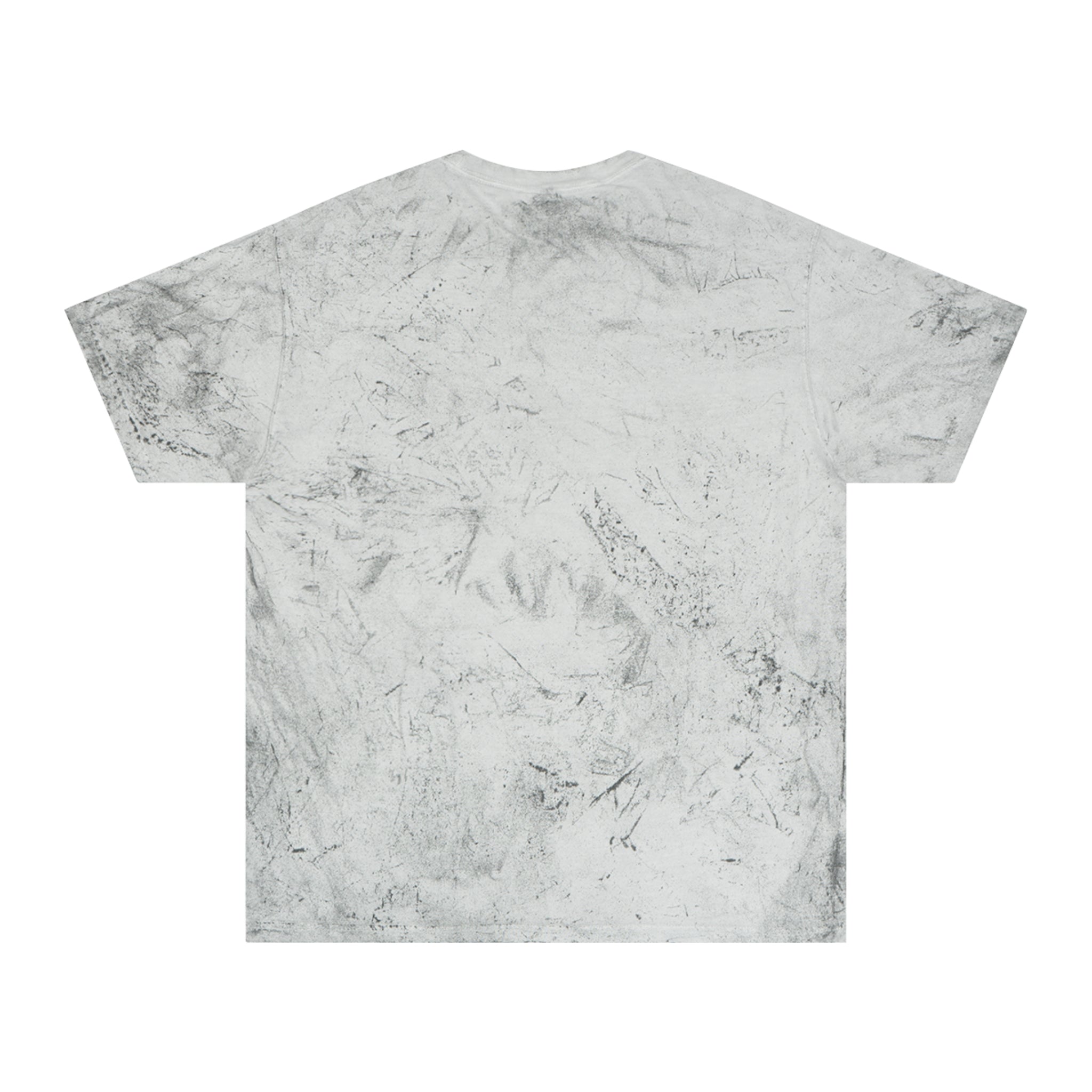 Billionaire Chameleon Garment Dyed Tee